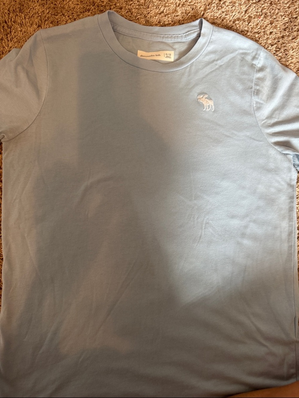 Abercrombie & Fitch Light Blue Short Sleeve Logo Tee